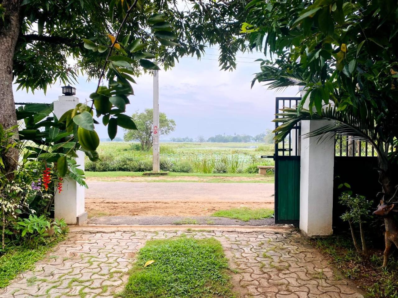 Hotel Tissamaharama Luaran gambar