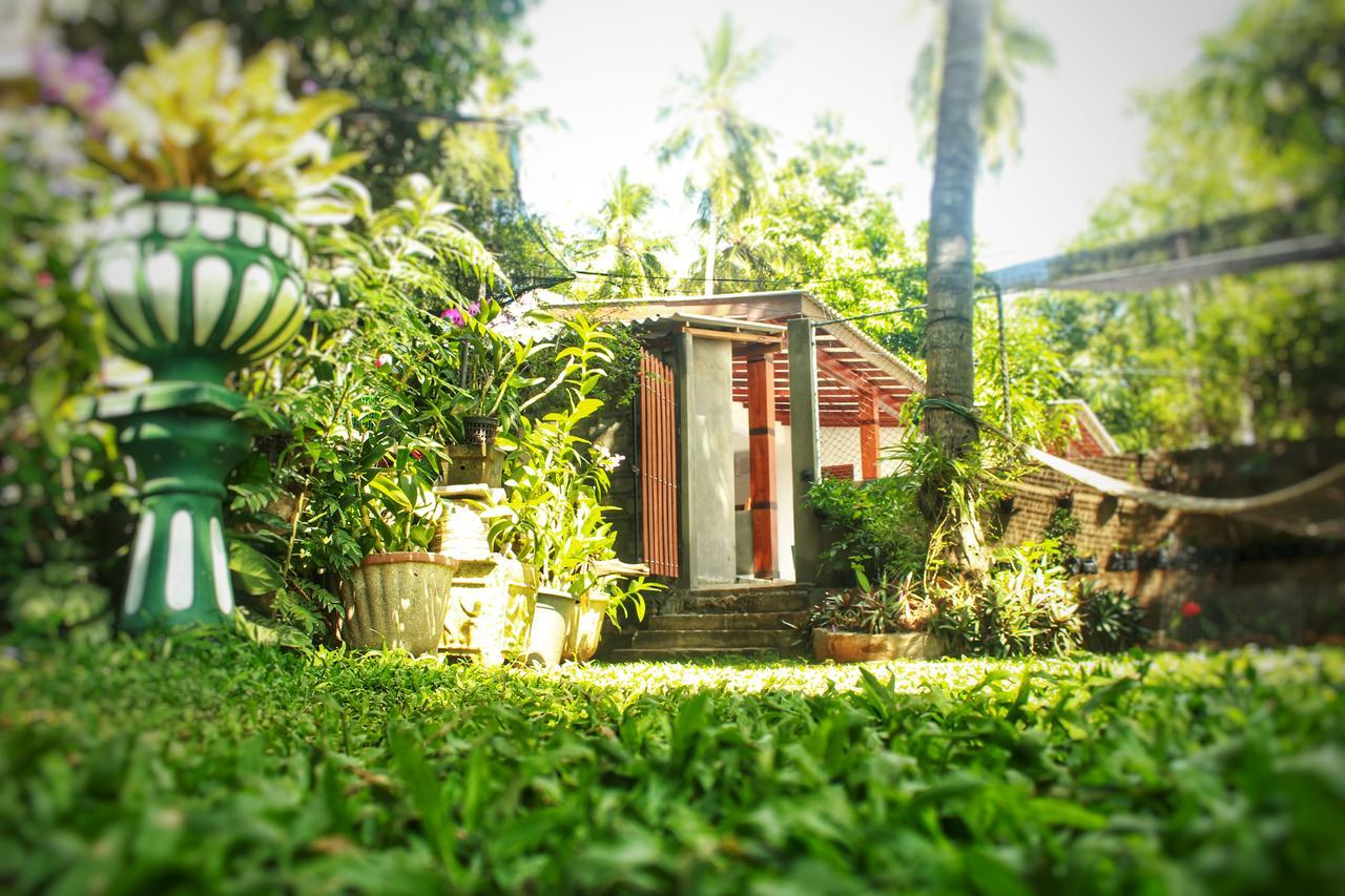 Hotel Tissamaharama Luaran gambar